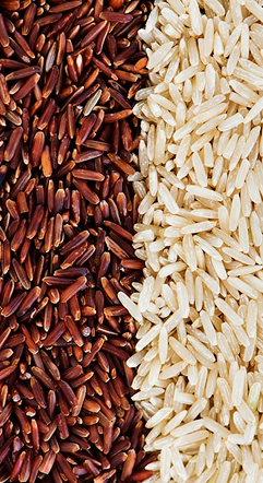 Rice