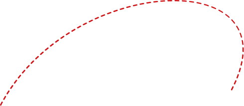 vector