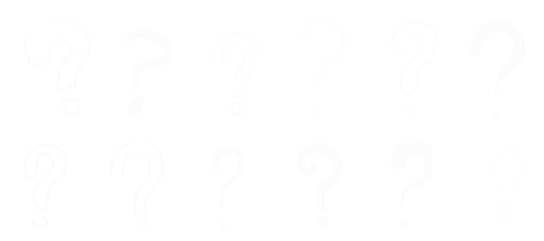Background Questions